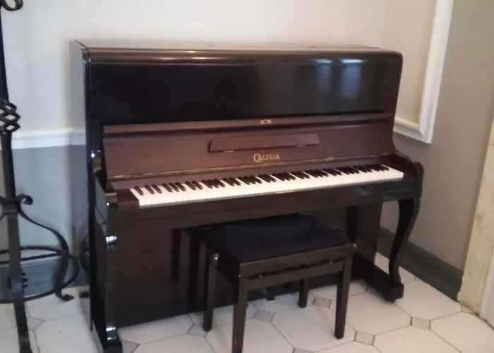 Hotel Dom Pracy Tworczej *